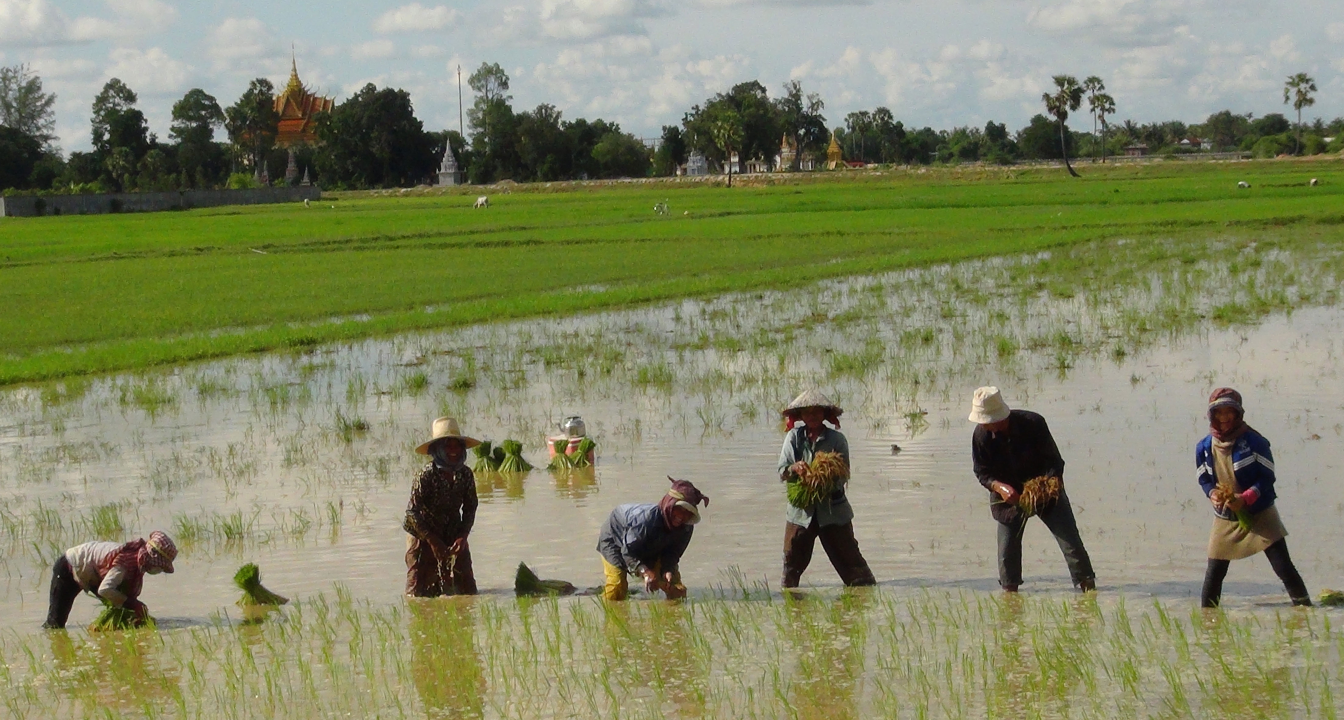 Kampong Chhnang Economy
